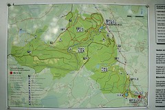 5DSC_6357