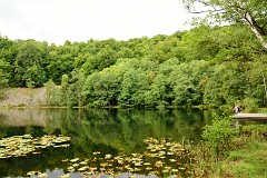 80DSC_6513