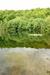 81DSC_6514
