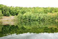 82DSC_6515