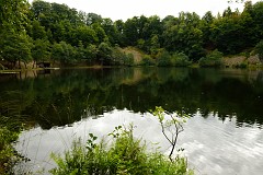 96DSC_6543