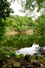 99DSC_6548