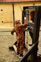142DSC_9422