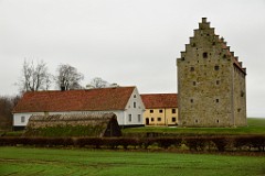 1DSC_9136