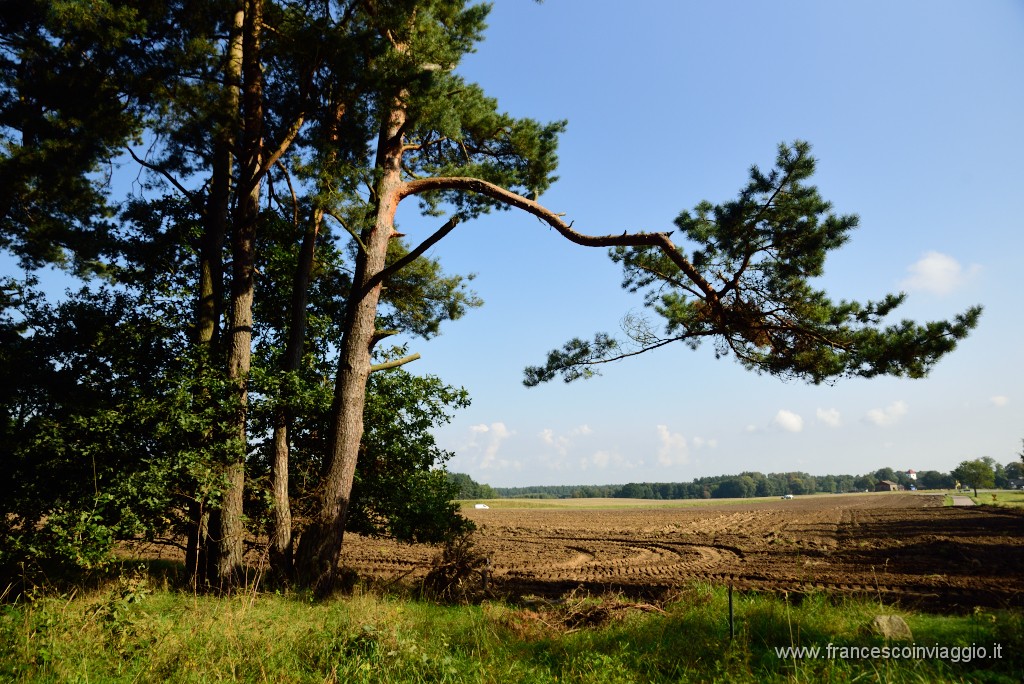 DSC_6035.JPG