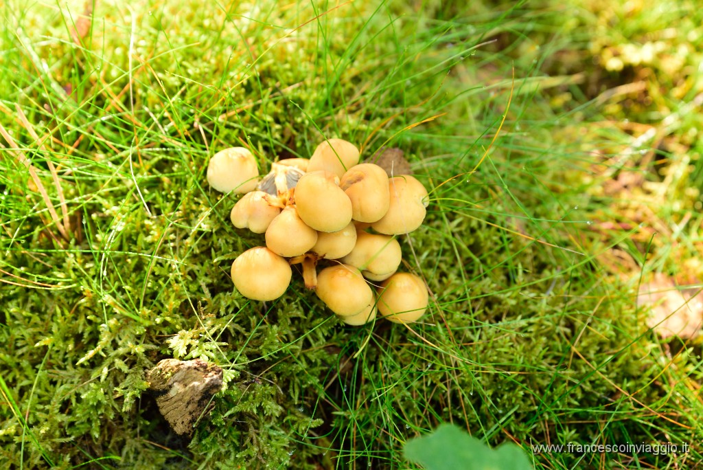 DSC_6042.JPG