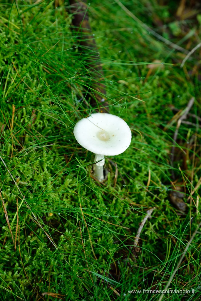 DSC_6044.JPG