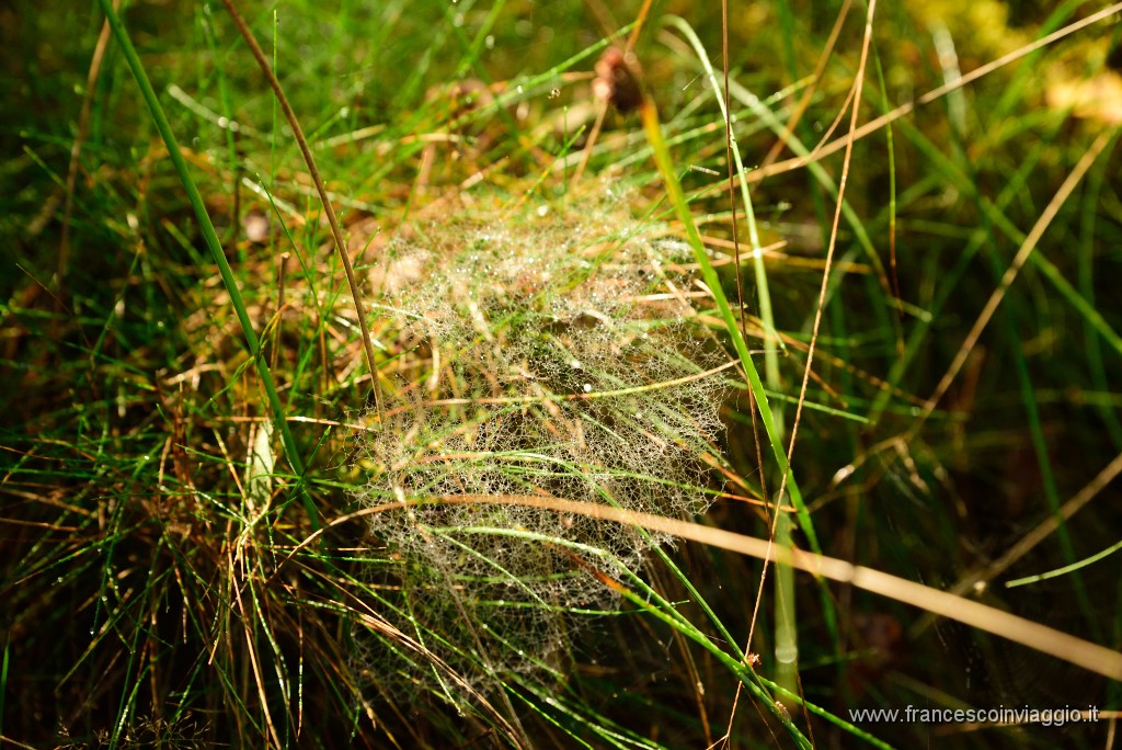 DSC_6060.JPG