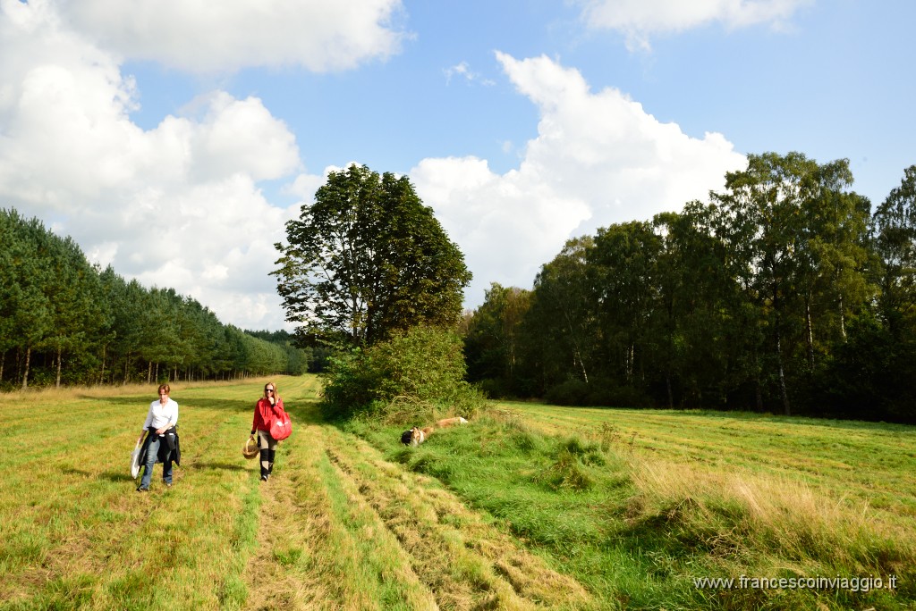 DSC_6097.JPG