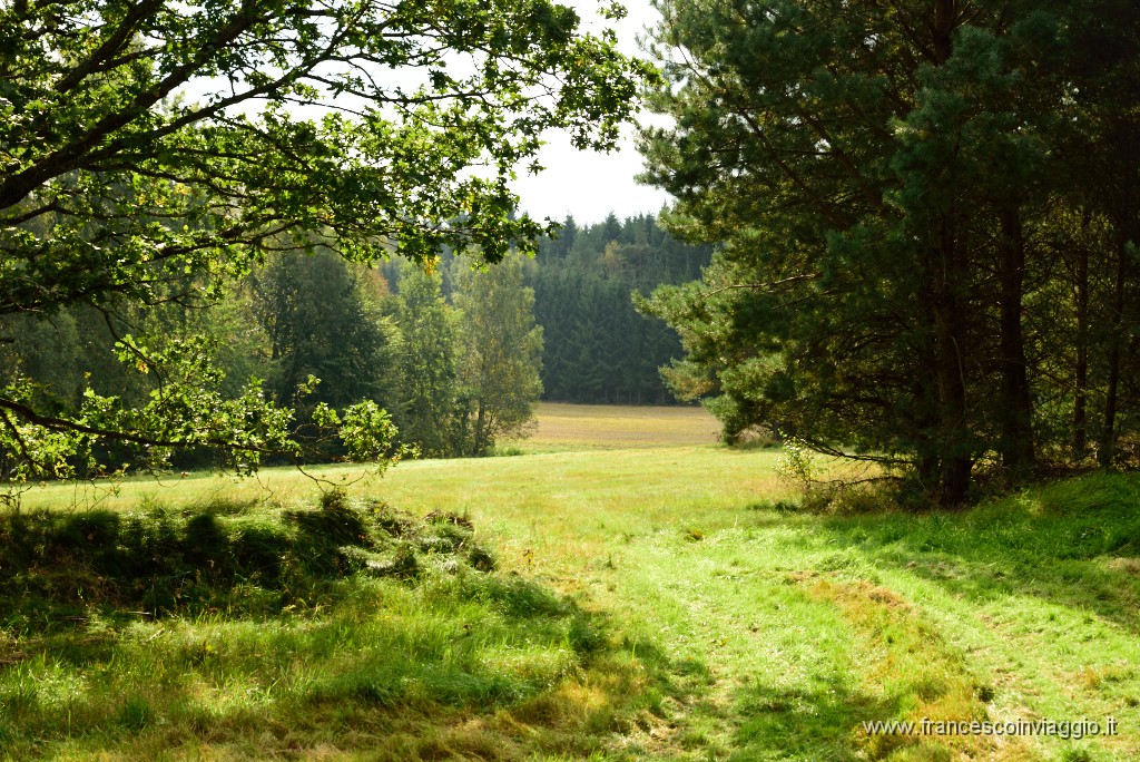 DSC_6104.JPG