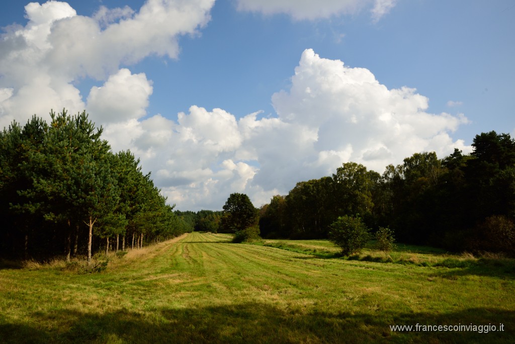 DSC_6106.JPG