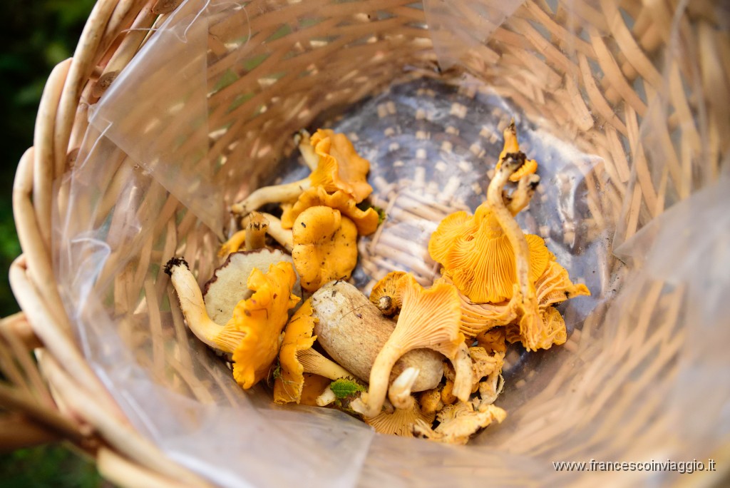 DSC_6162.JPG