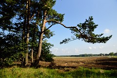 DSC_6035