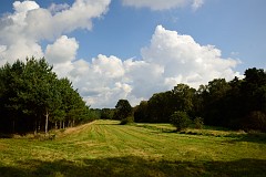 DSC_6106