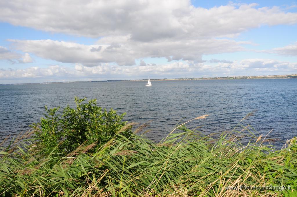 DSC_5782.JPG