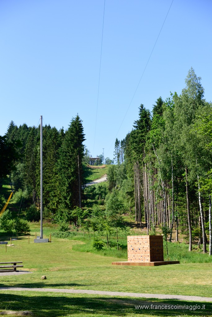 DSC_5882.JPG