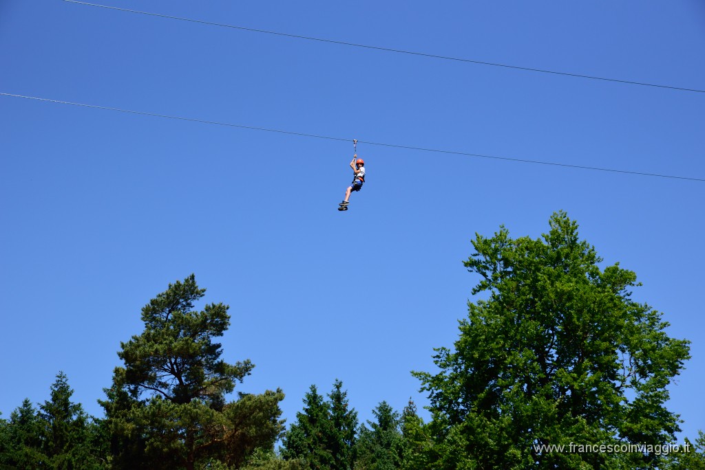 DSC_5911.JPG