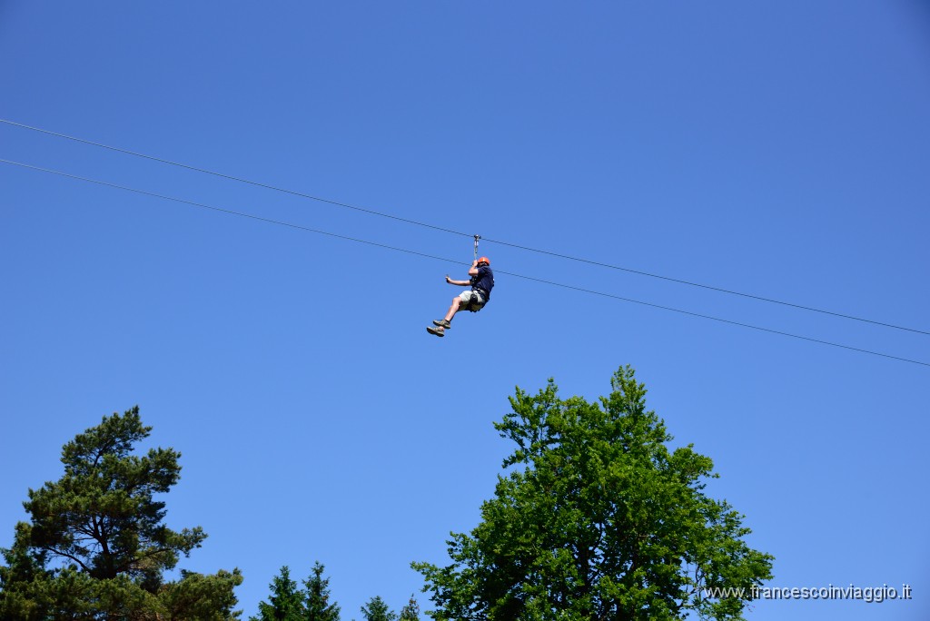 DSC_5915.JPG