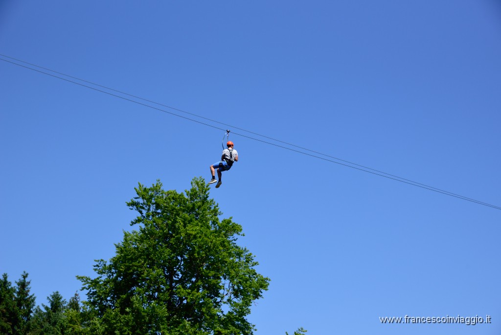 DSC_5925.JPG