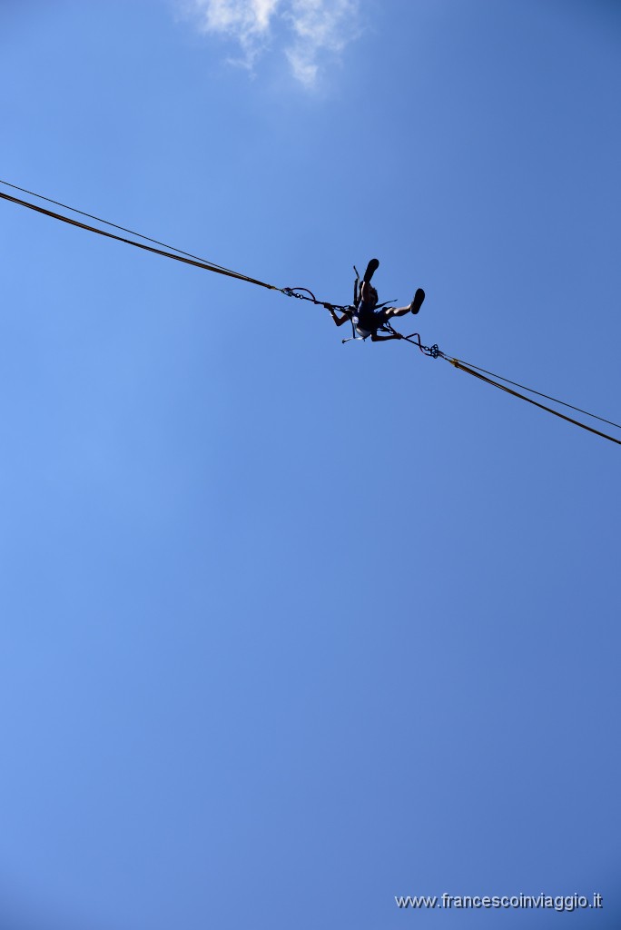DSC_6032.JPG
