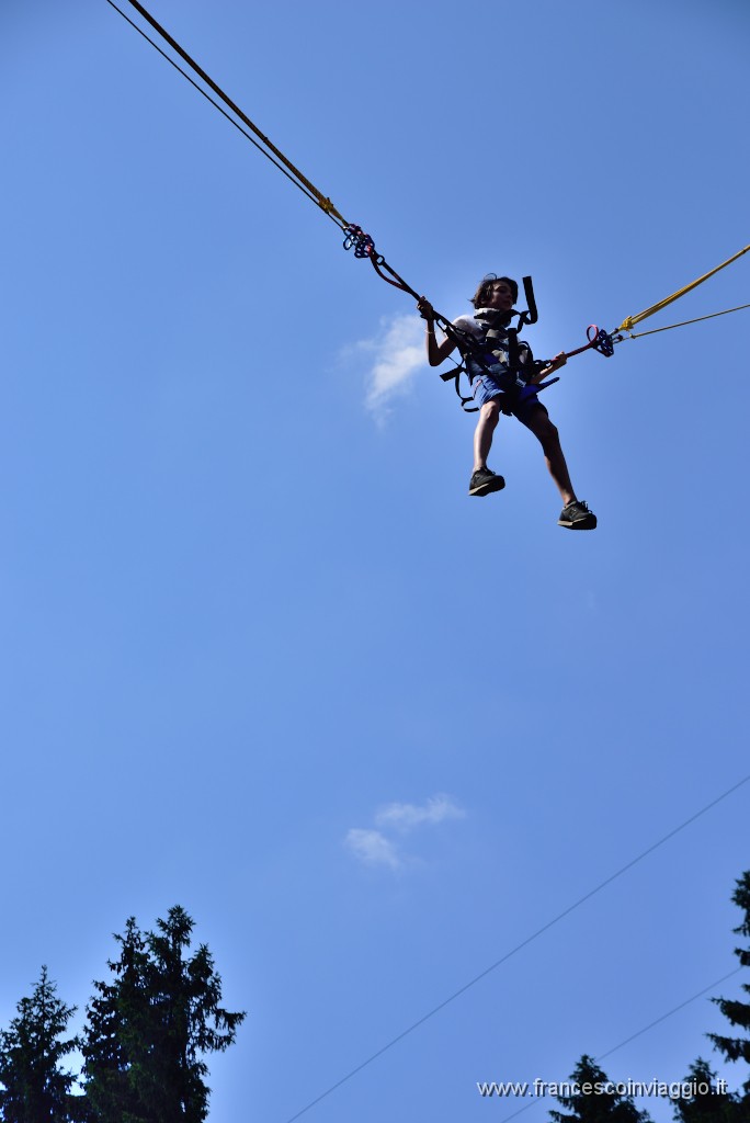 DSC_6033.JPG