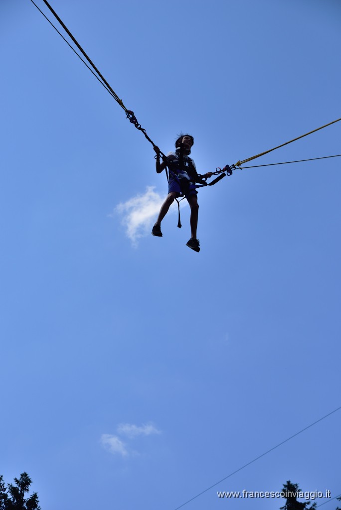 DSC_6040.JPG