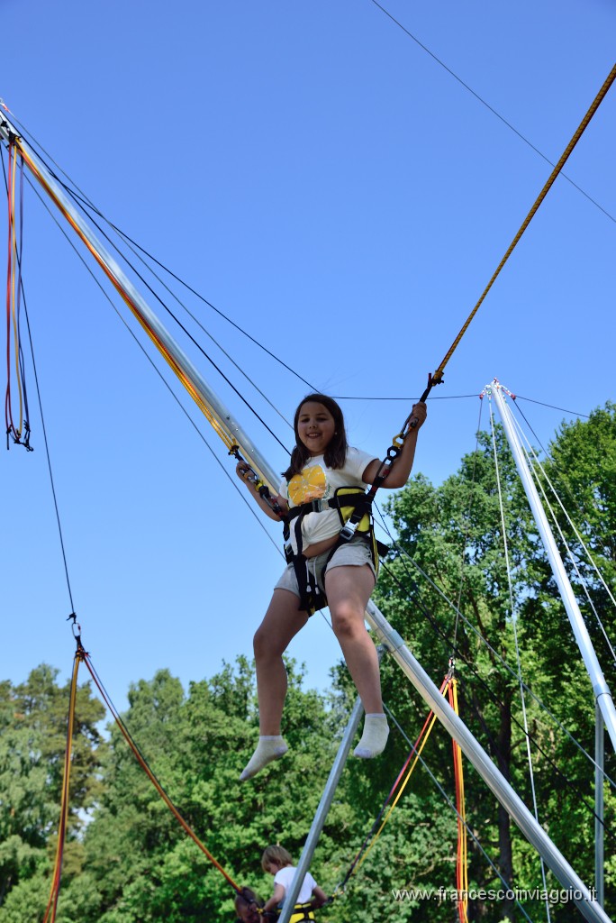 DSC_6049.JPG