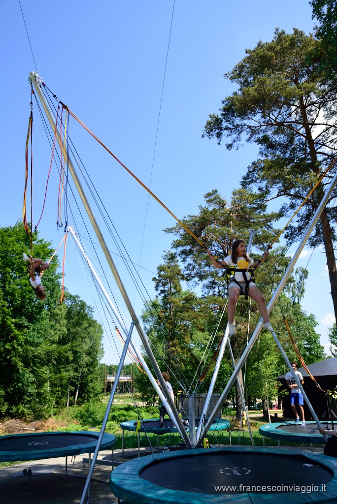 DSC_6058.JPG