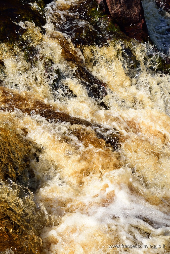 DSC_6144.JPG
