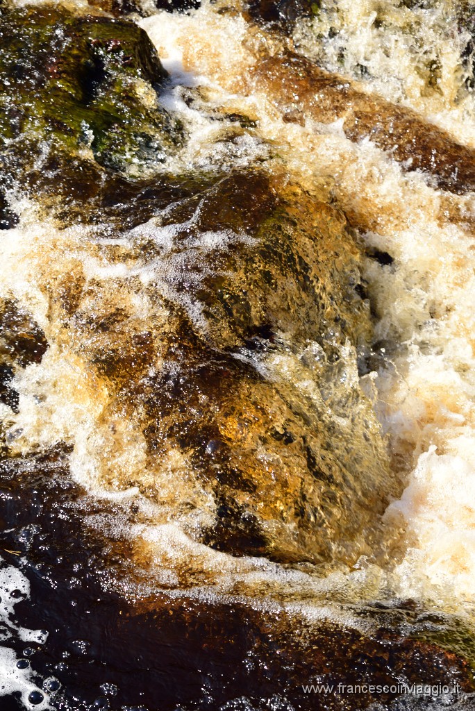 DSC_6145.JPG