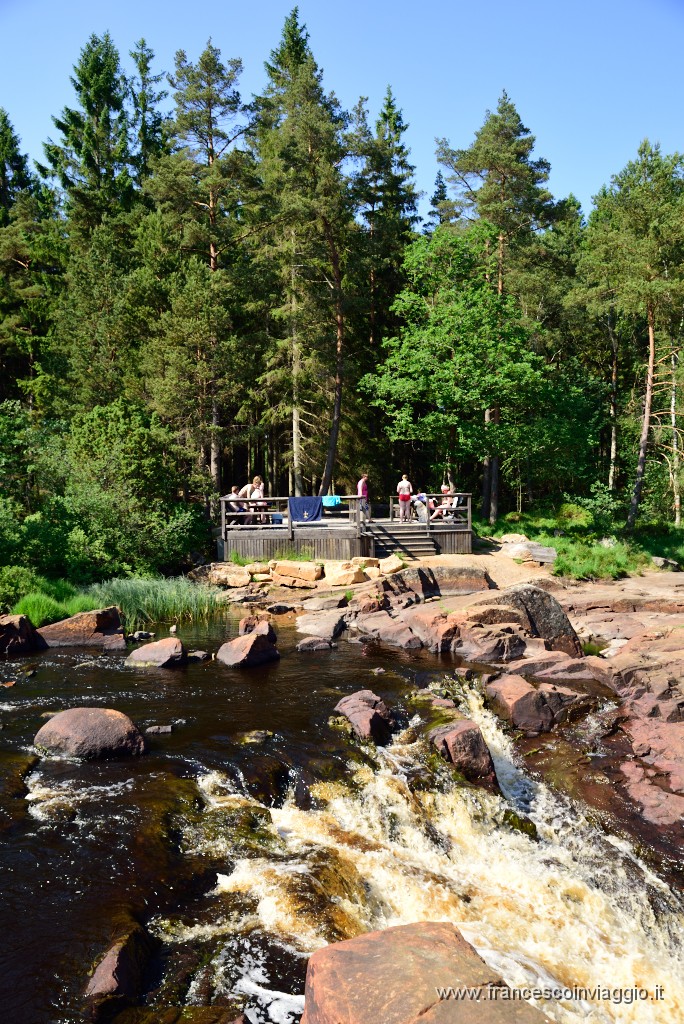 DSC_6149.JPG