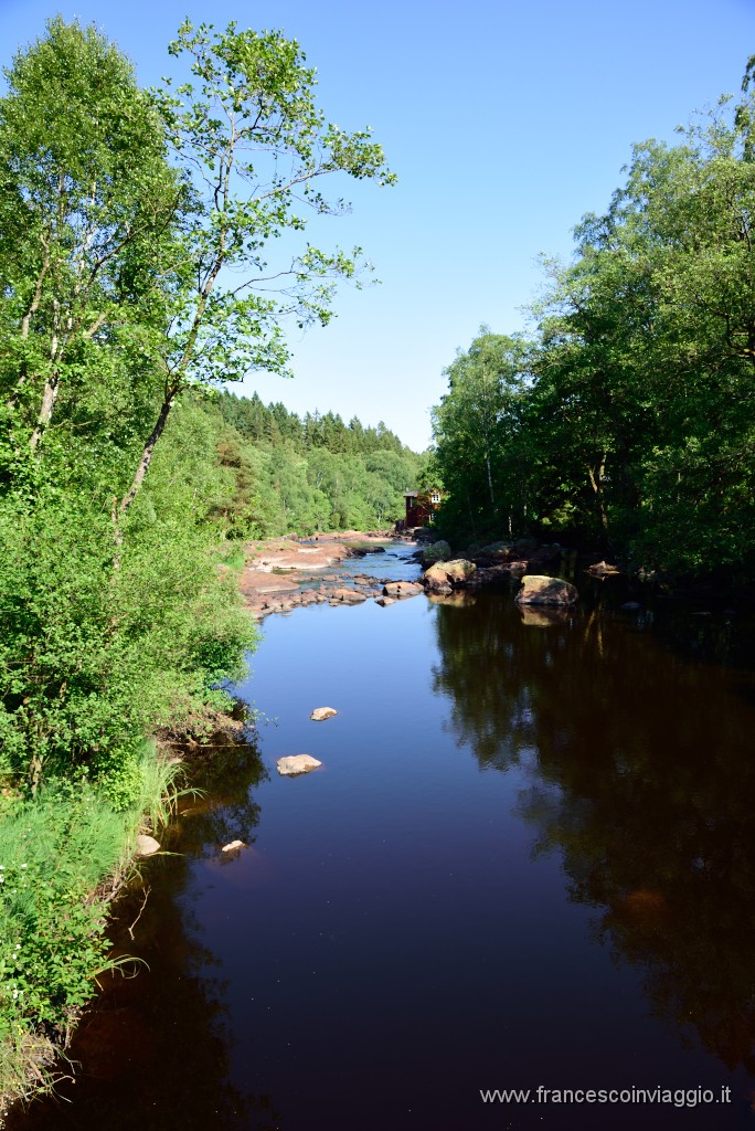DSC_6187.JPG