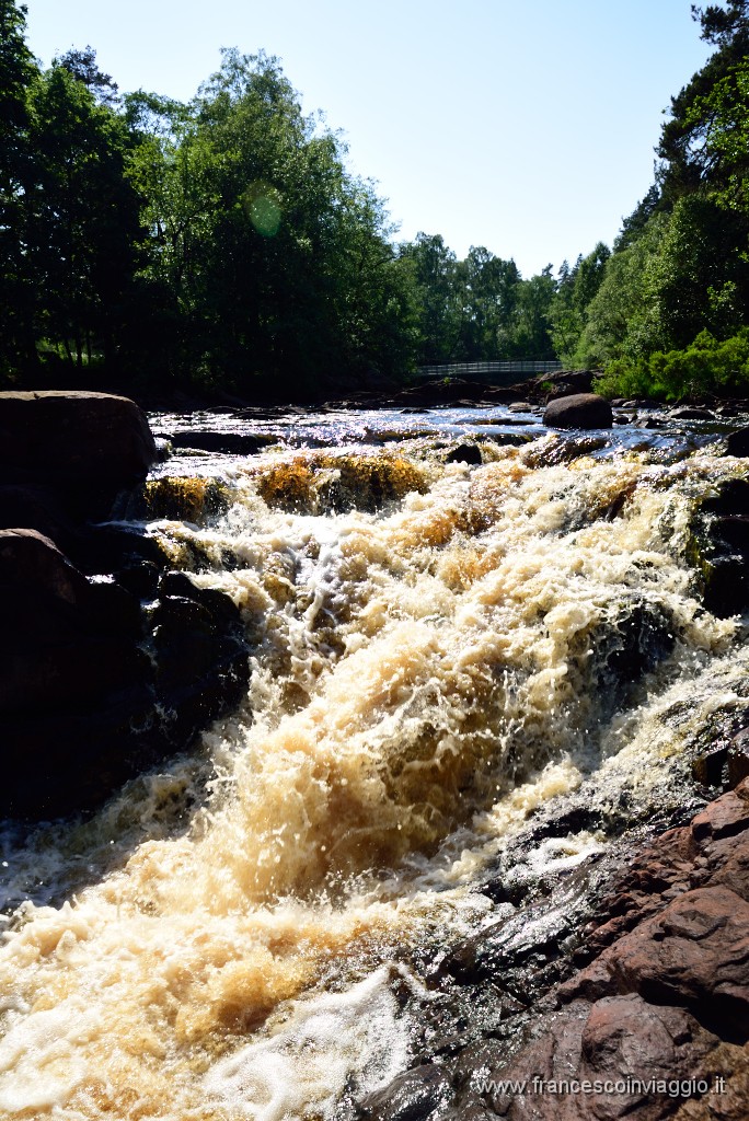 DSC_6211.JPG