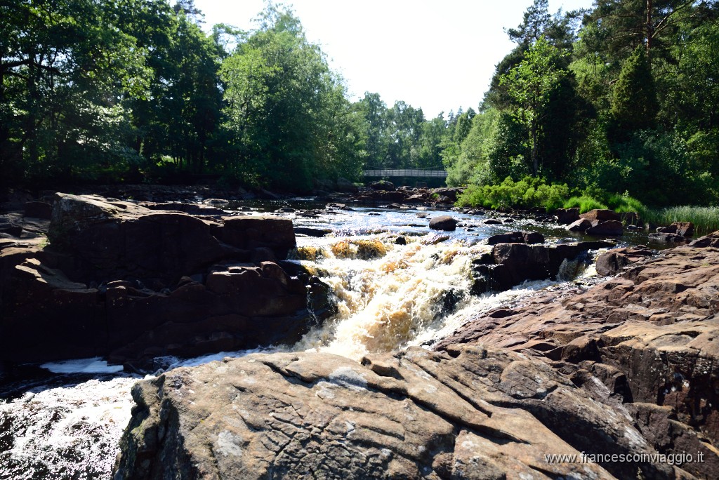 DSC_6218.JPG