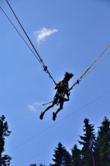 DSC_6037