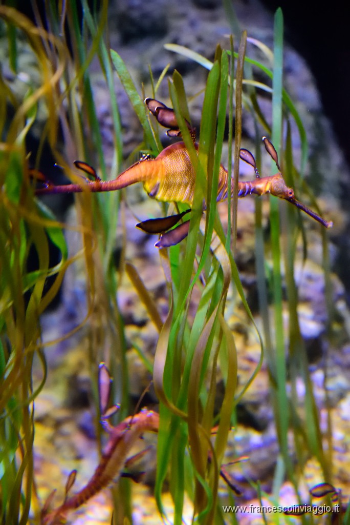 DSC_6814.JPG