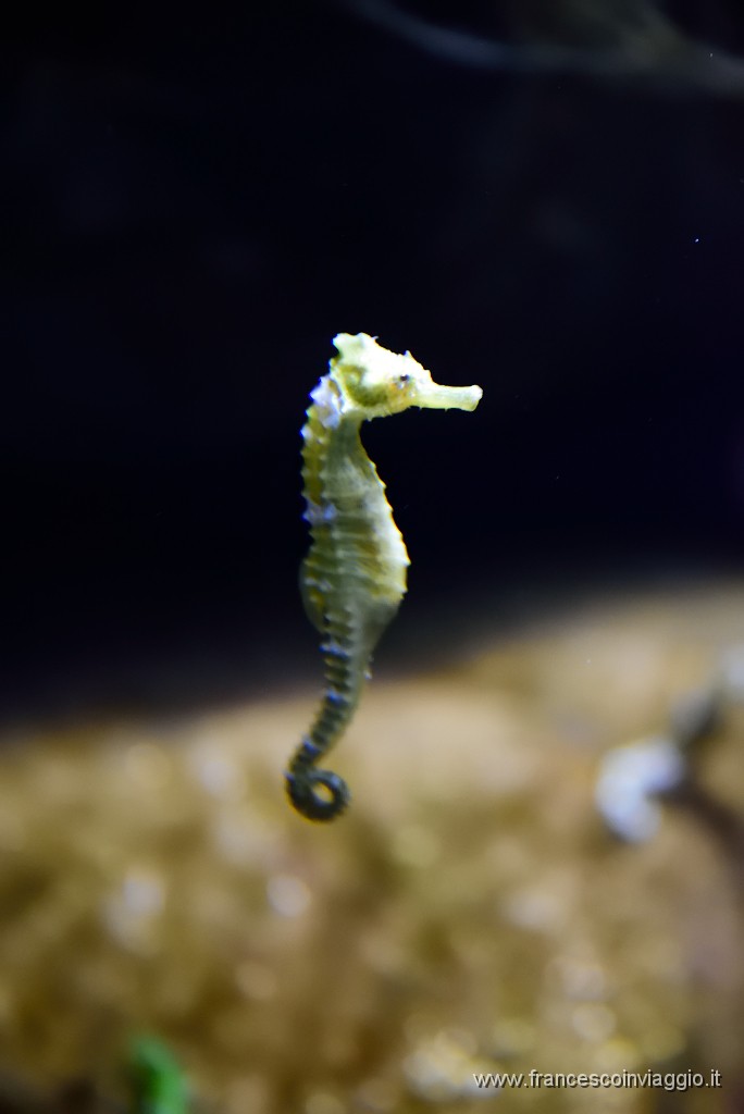 DSC_6841.JPG