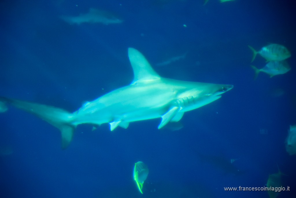 DSC_6848.JPG