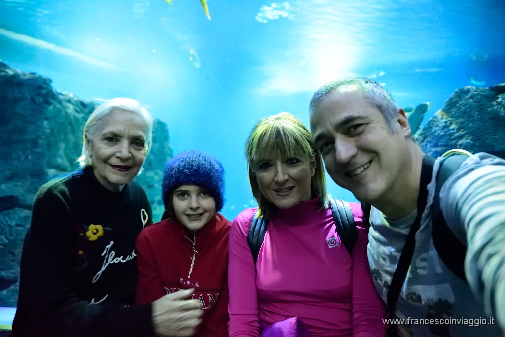 DSC_6883.JPG