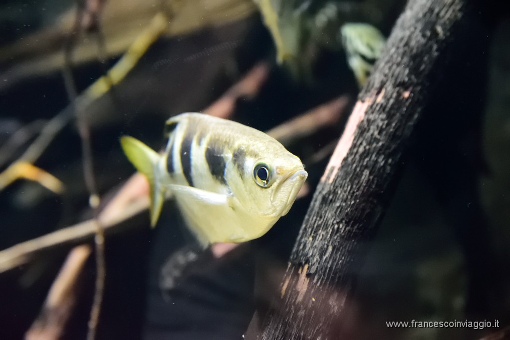 DSC_6902.JPG