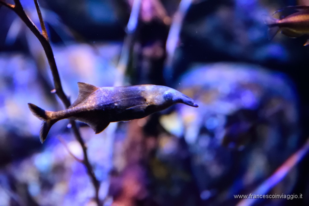 DSC_6967.JPG