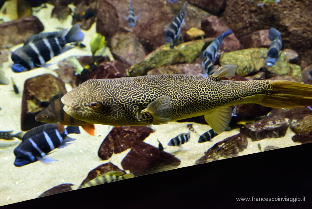 DSC_6978.JPG
