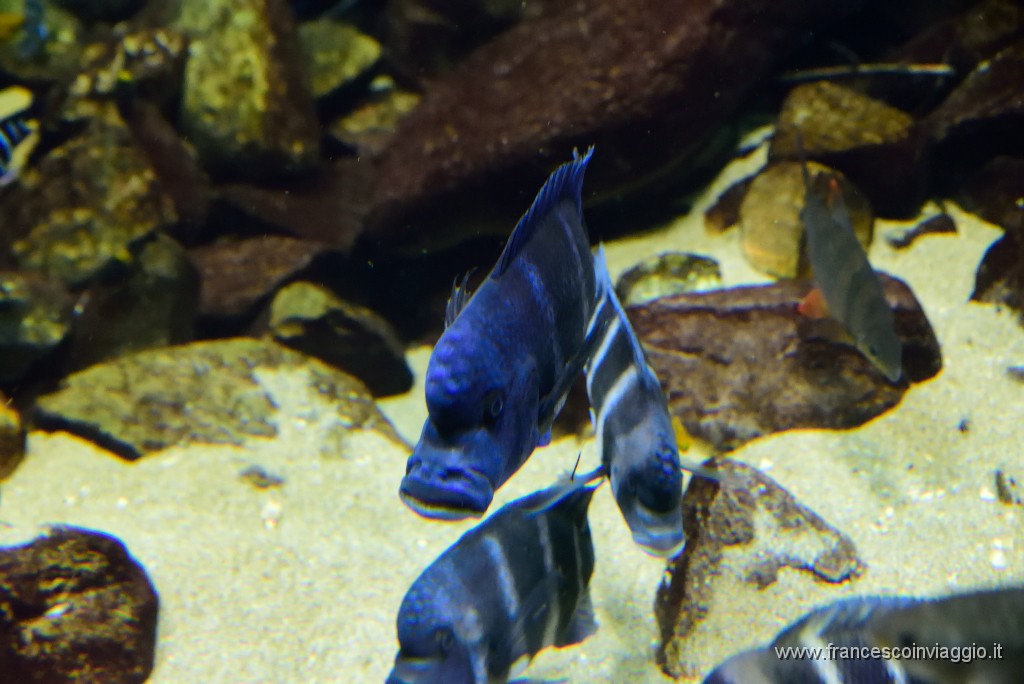 DSC_6982.JPG