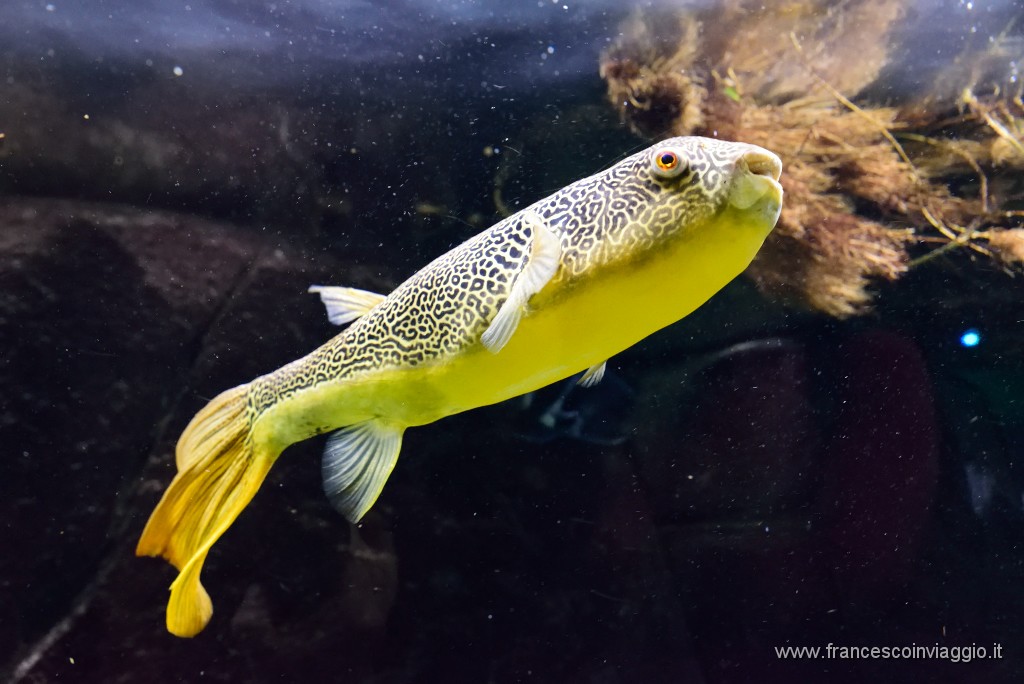 DSC_6996.JPG