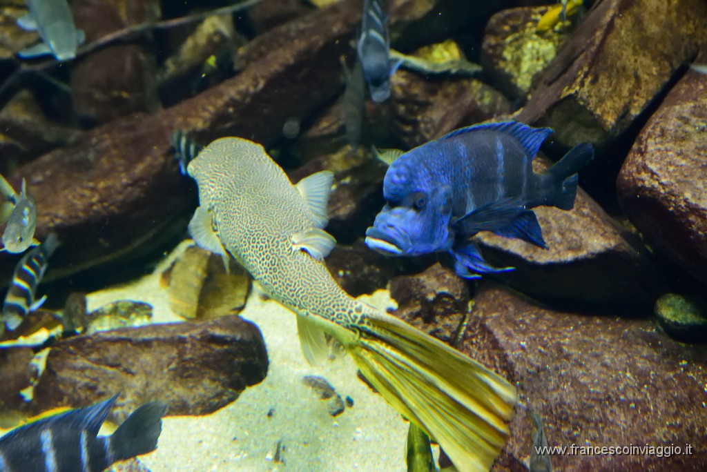 DSC_7001.JPG