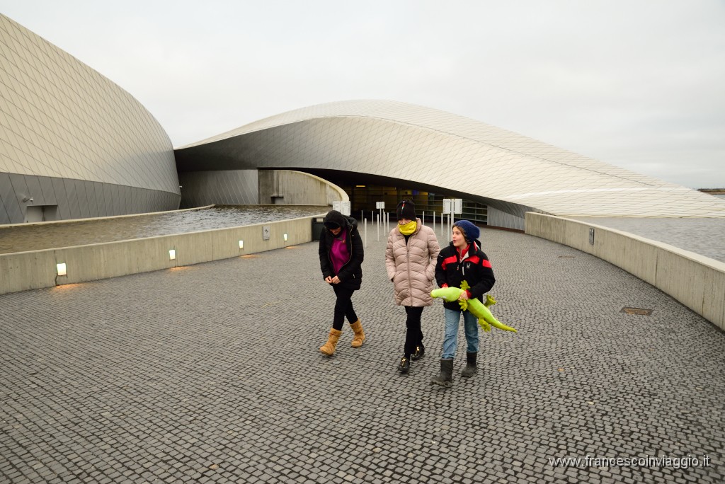 DSC_7060.JPG