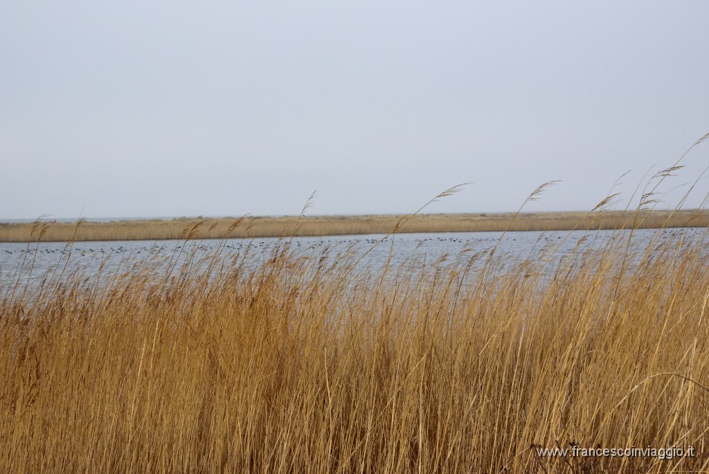 DSC_7843.JPG