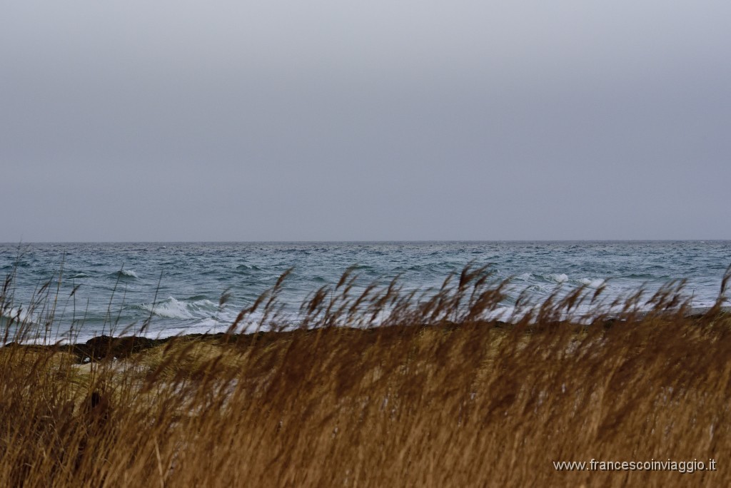 DSC_7852.JPG