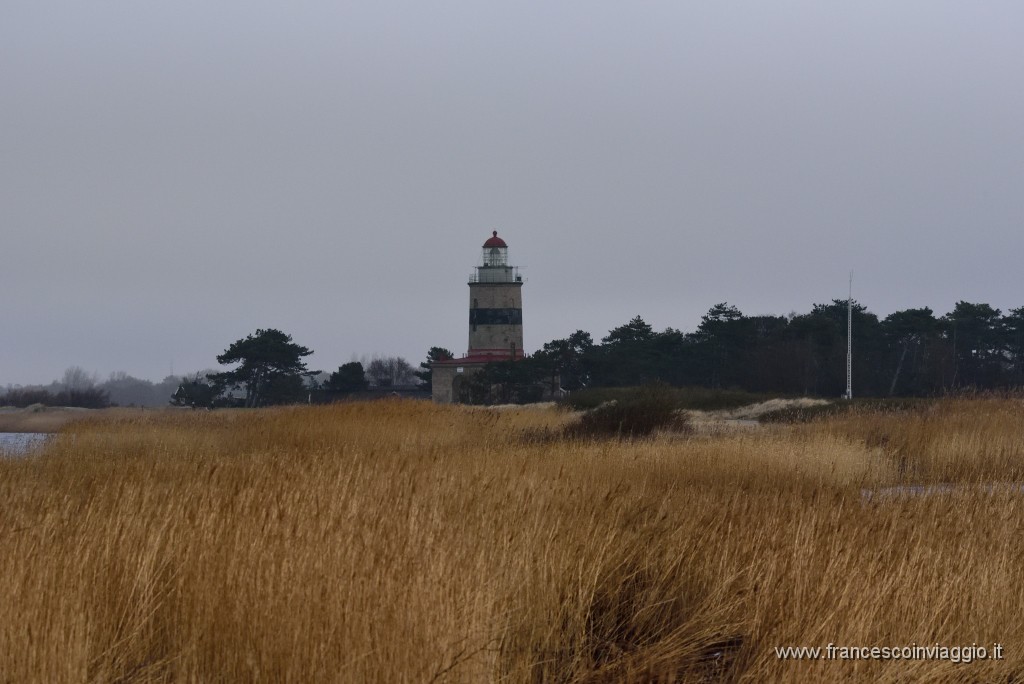 DSC_7853.JPG