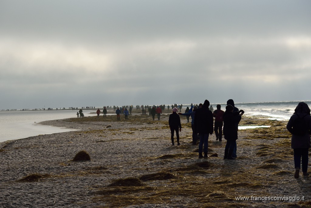 DSC_7871.JPG